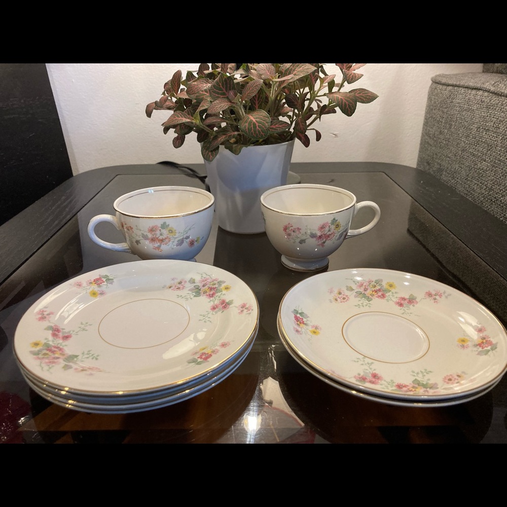 Vintage Eggshell Nautilus China